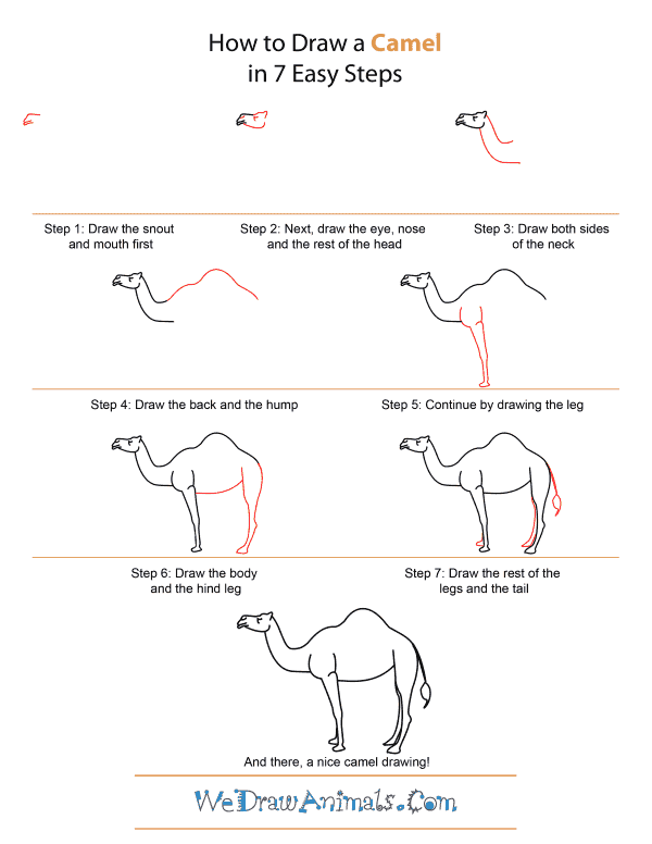 how-to-draw-a-camel-step-by- 