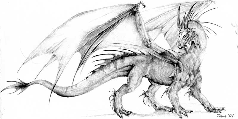 White Dragon Drawings - Gallery