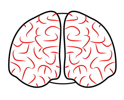 brain easy drawing front - Clip Art Library