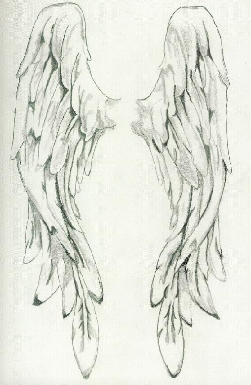 Free Angel Wings Drawing, Download Free Angel Wings