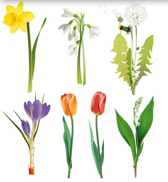 Flowers - Vector Images