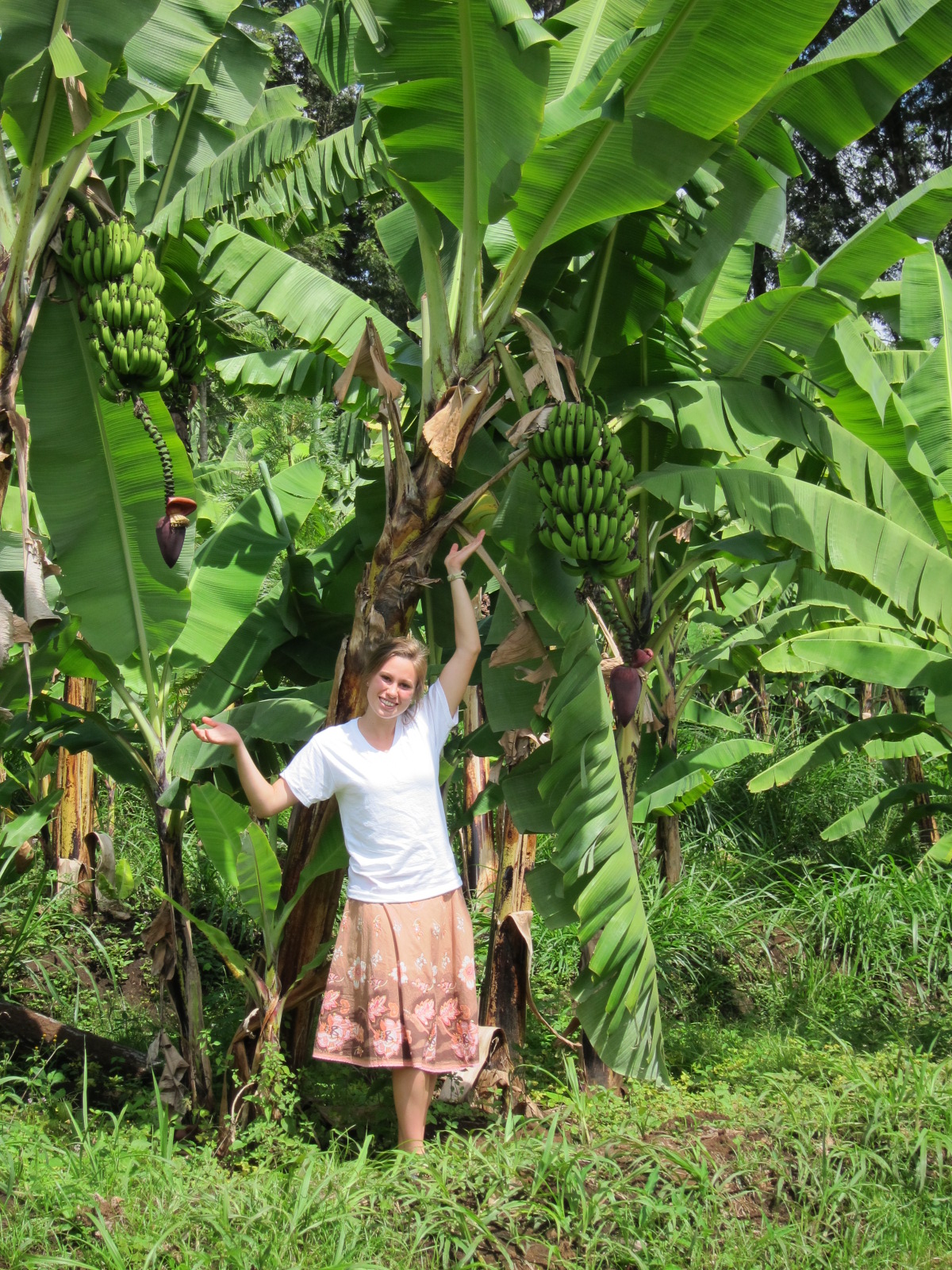 Machete Meets Banana Trees | Faith in Tanzania
