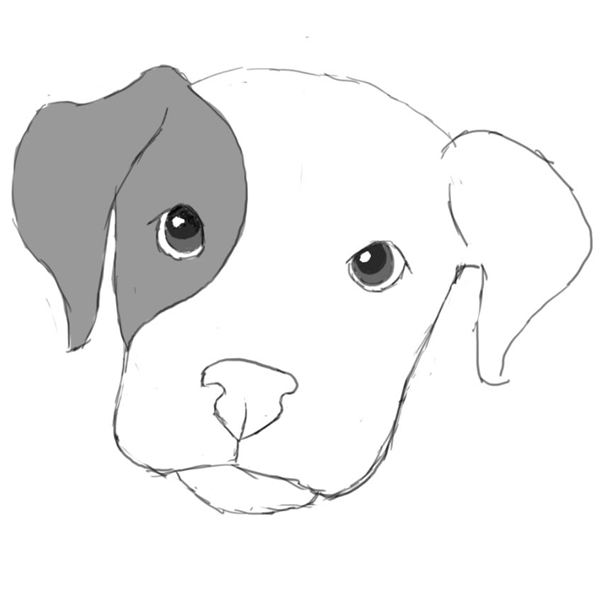 dog drawing easy