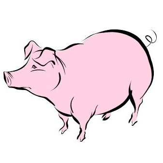 Website Connects Pig Farmers | Dodge County