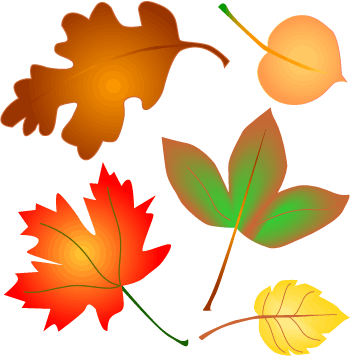 Cartoon Autumn Leaves - Clipart library