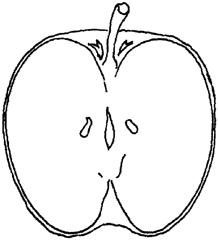 clipart apple pages - photo #42