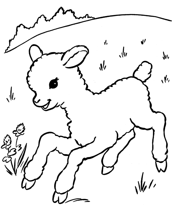 Farm Animal Coloring Pages | Printable Sheep Coloring Page and 
