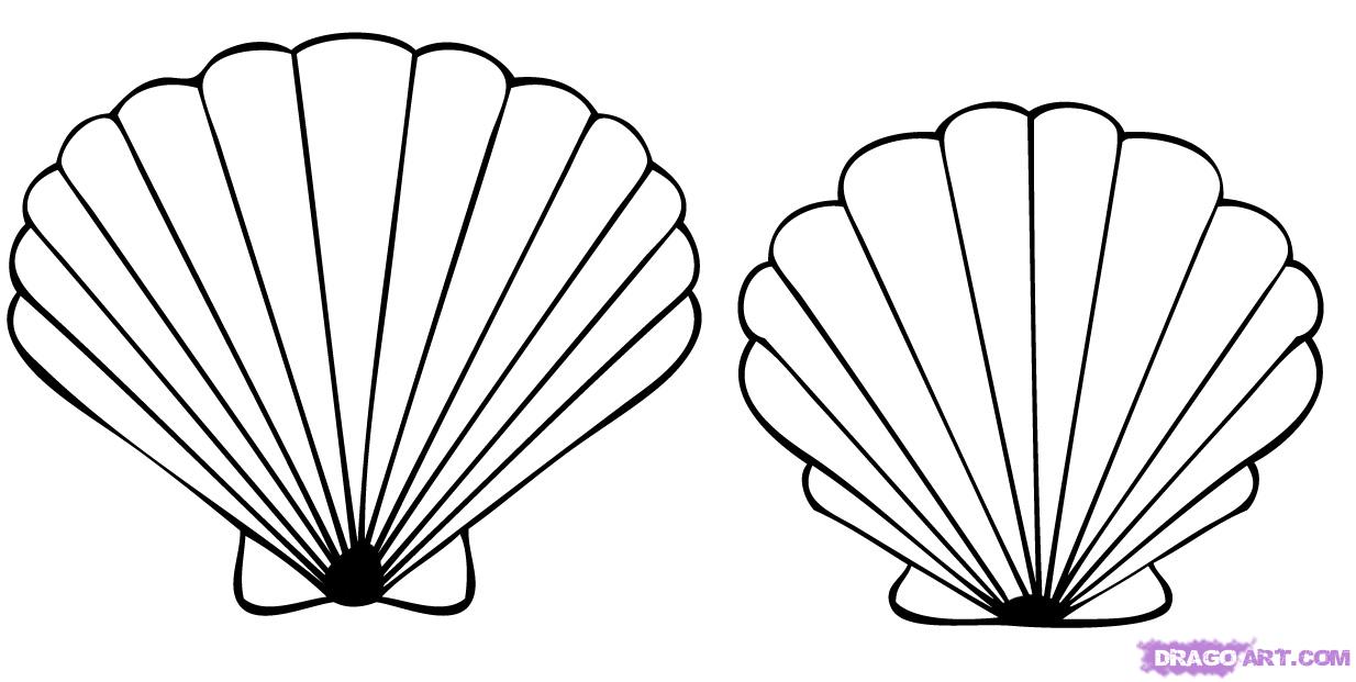 Free Seashell Tattoo Designs, Download Free Seashell Tattoo Designs png  images, Free ClipArts on Clipart Library