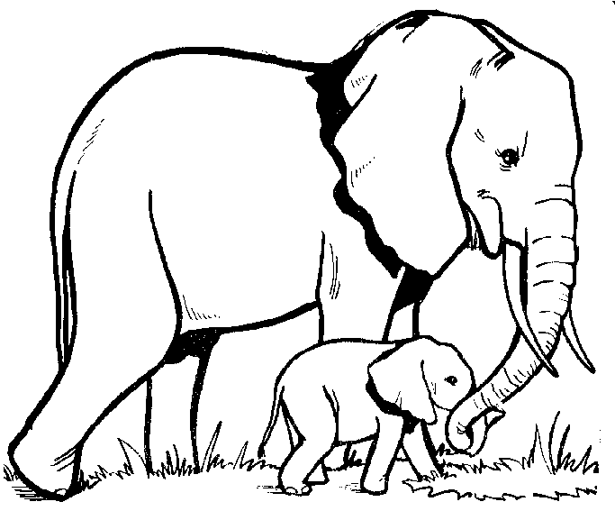 elephant tattoo outline mom how cool would it be to have our 