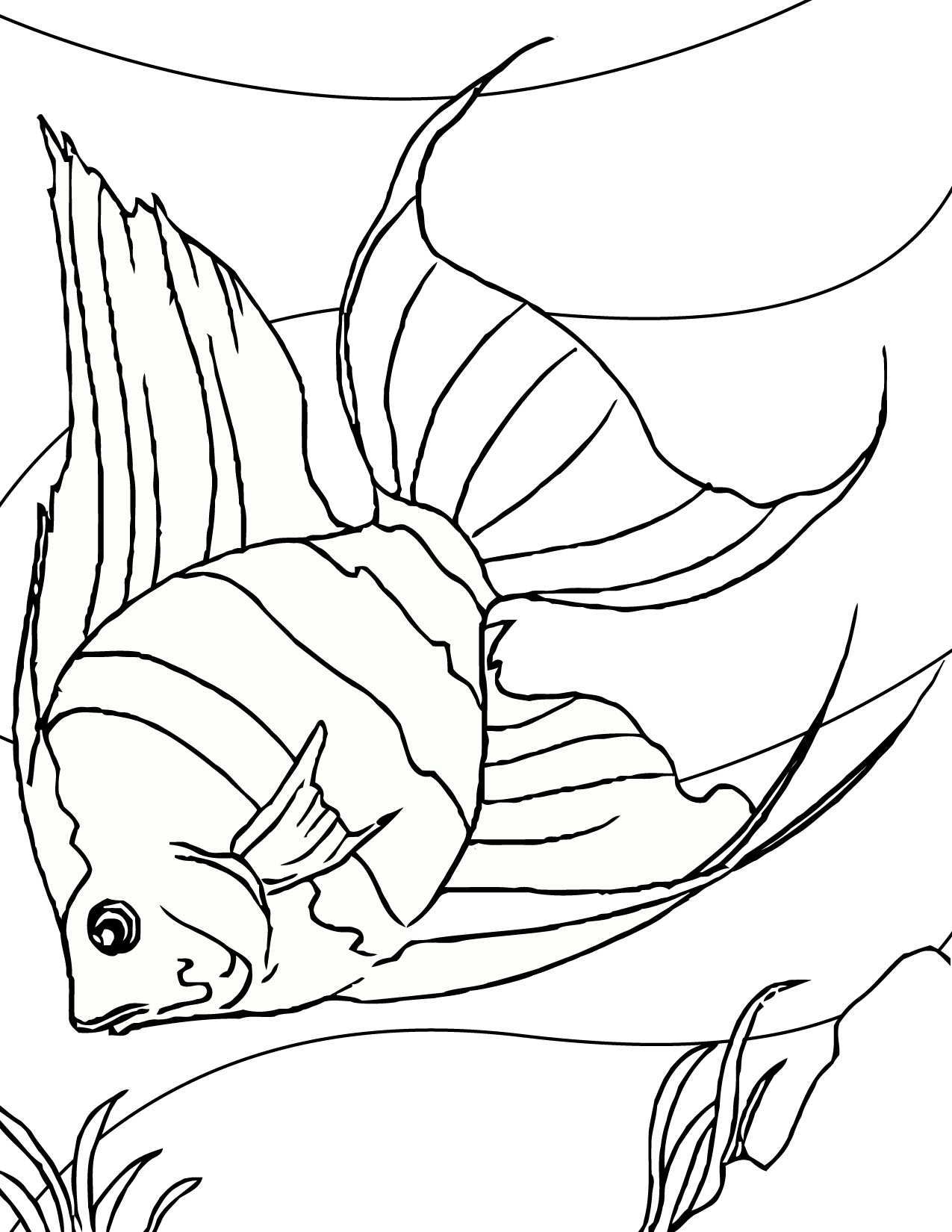 Line Drawing Tropical Fish | Line Drawing