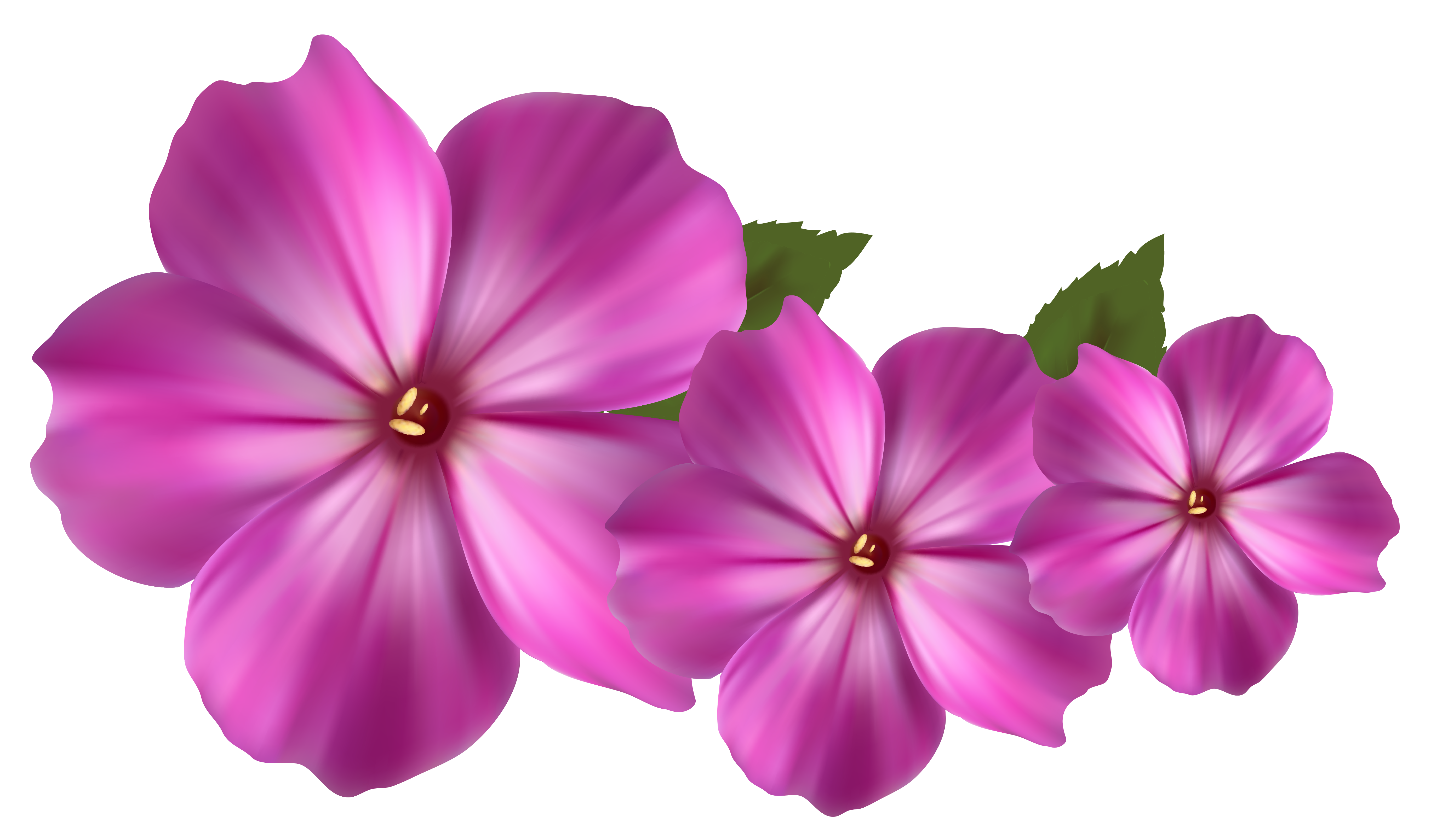 Free Violet Flower Png, Download Free Violet Flower Png png images