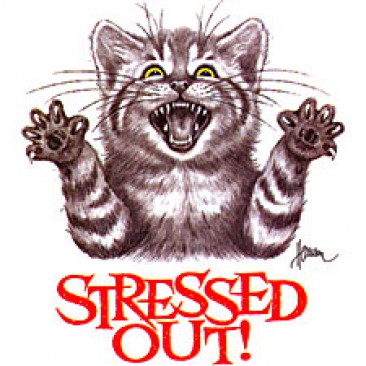 Free Funny Stressed Out Pictures, Download Free Funny Stressed Out Pictures  png images, Free ClipArts on Clipart Library