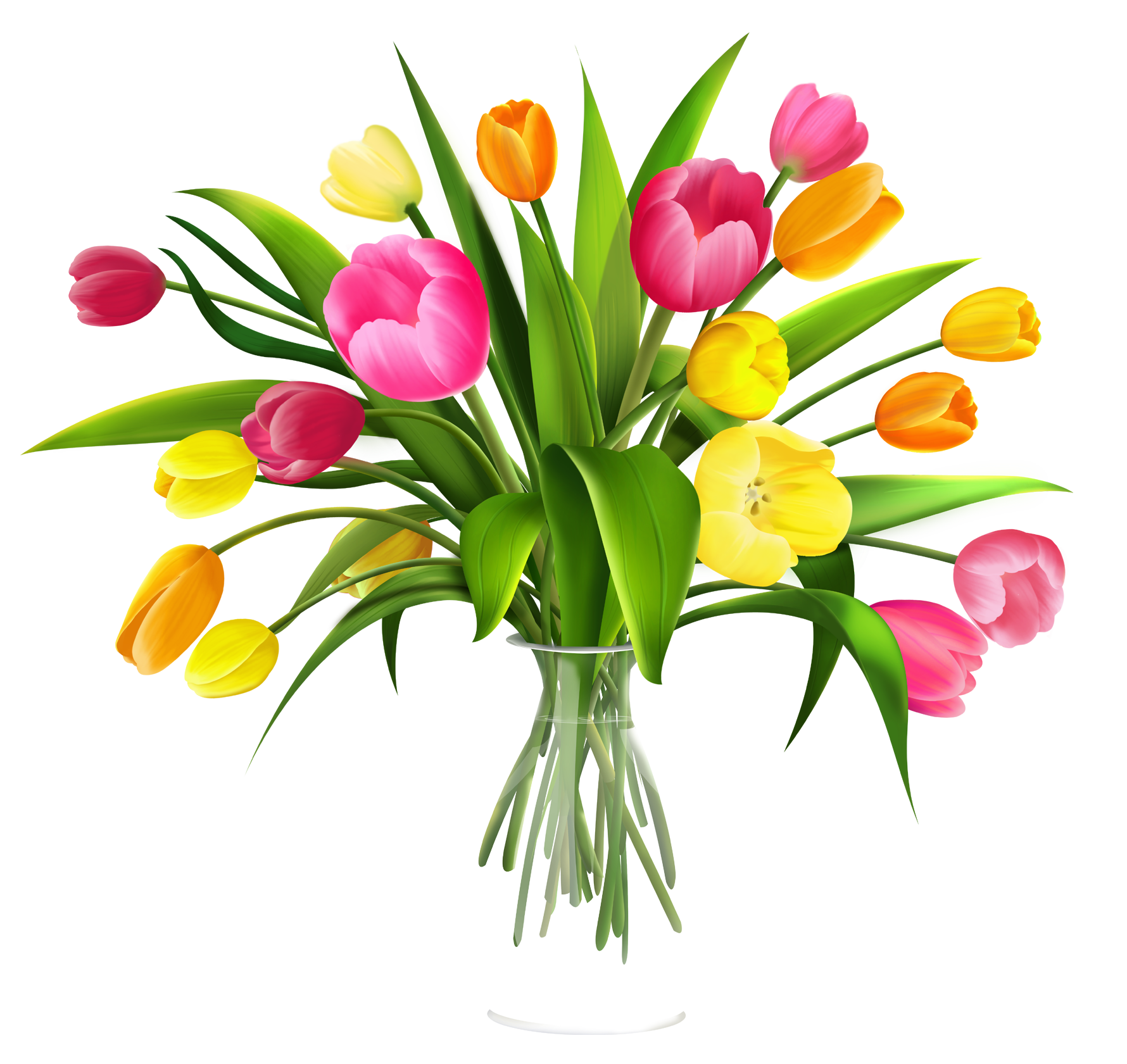 Vase with Tulips PNG Clipart