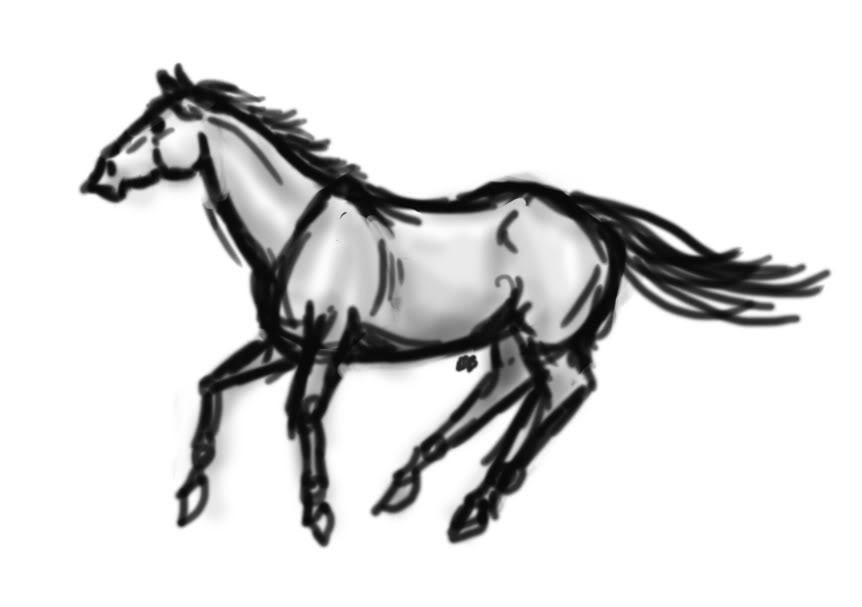 virtualhorseranch.com � View topic - Virtual Horse Art Apprentices