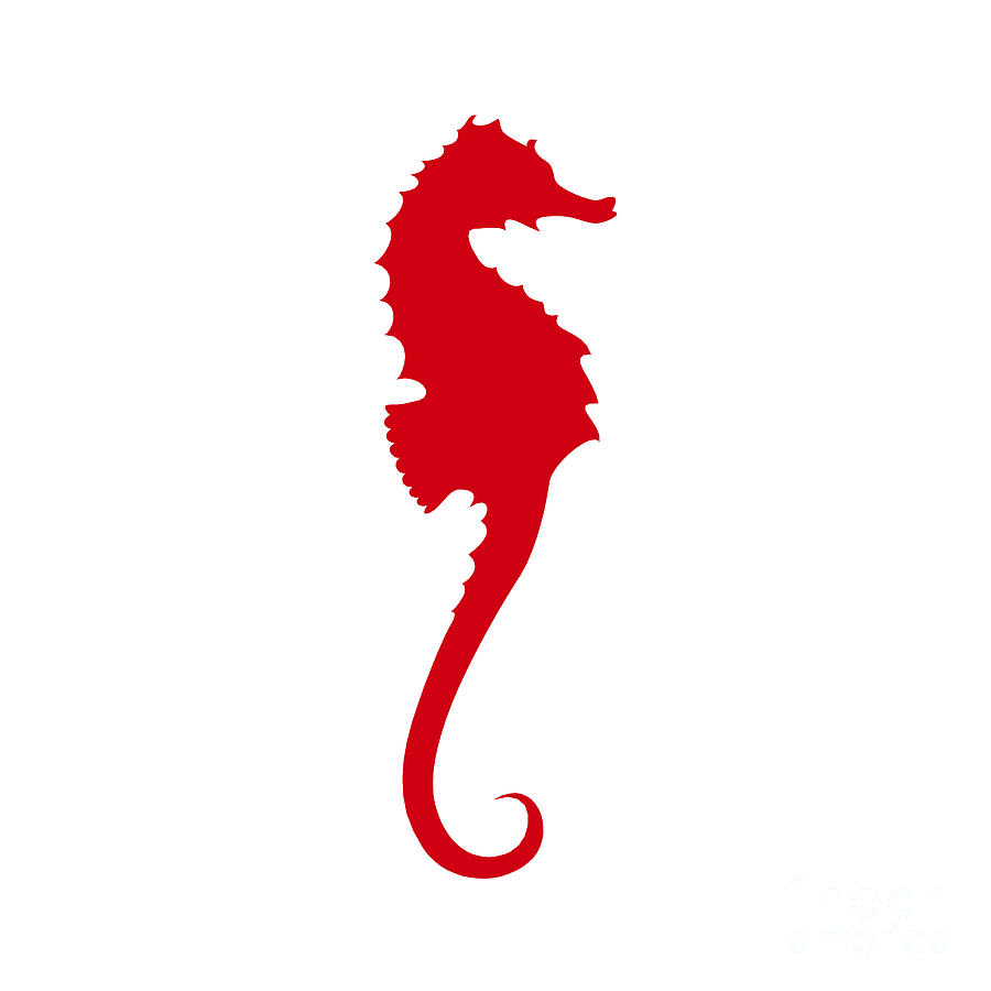 Seahorse In Red by Jackie Farnsworth - Seahorse In Red Digital Art 