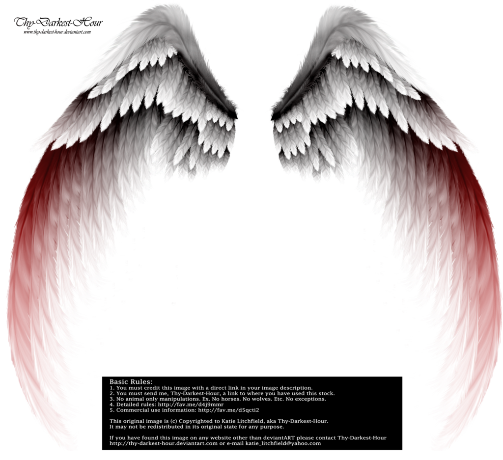 Wings PNGs by Thy-Darkest-Hour on Clipart library