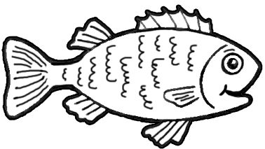 Step finished fish Drawing a Cartoon Fish with Easy Sketching 