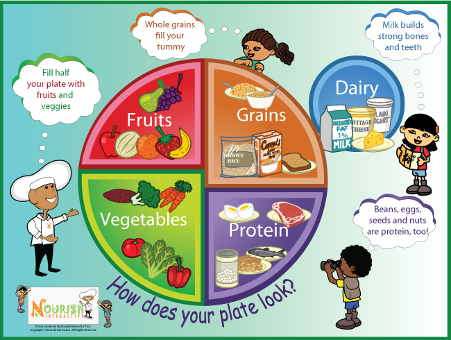 5 Main Food Groups And Examples