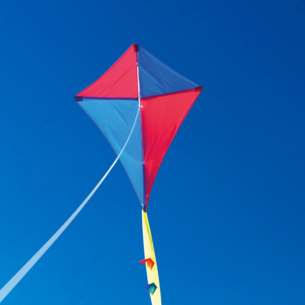 Harlequin Kite - Traditional Kites - Single Line Kites - Kites