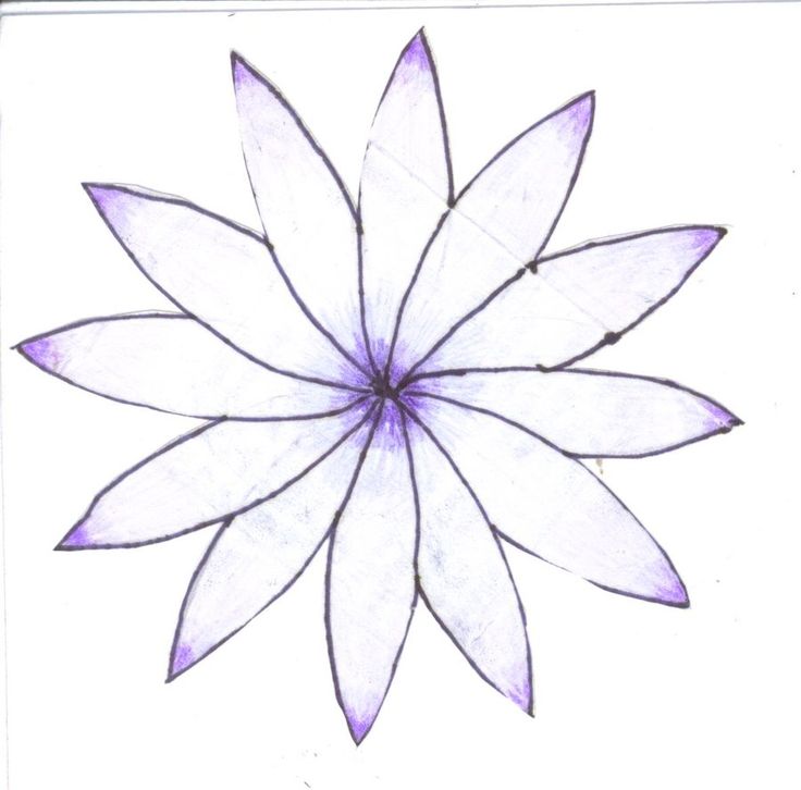 Easy Easy To Sketch Flowers To Draw for Beginner
