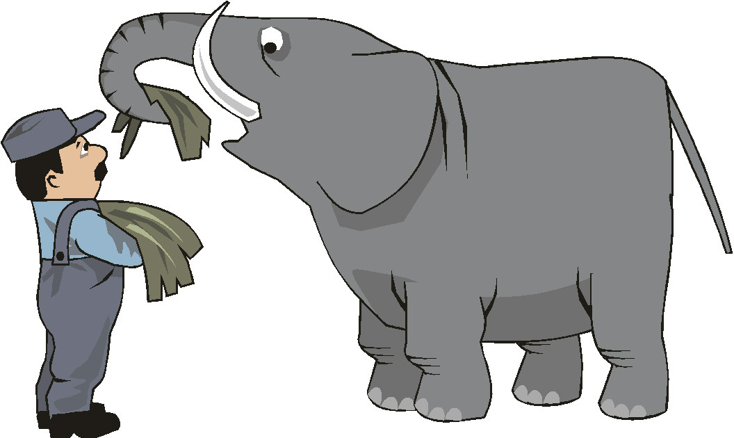 Elephant Graphics 