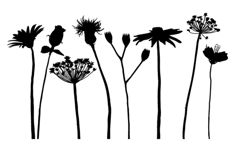 Flower Silhouettes - Clipart library