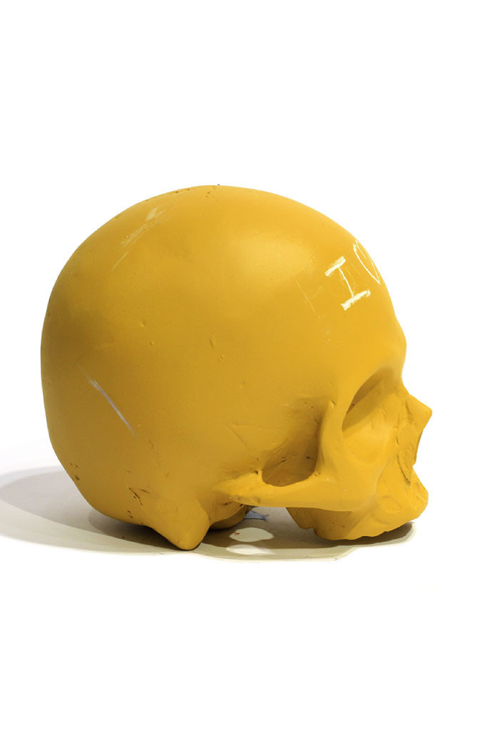 Chalkboard Skull in Mustard