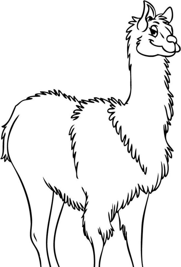 free-llama-outline-download-free-llama-outline-png-images-free