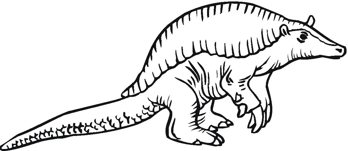 Armadillo Coloring Pages