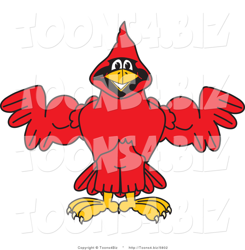 Vector Illustration of a Cartoon Cardinal Mascot Flexing by 