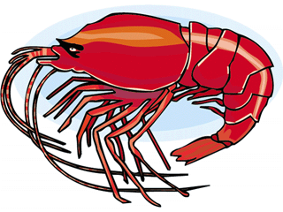 fish-graphics-lobster-and-crab 