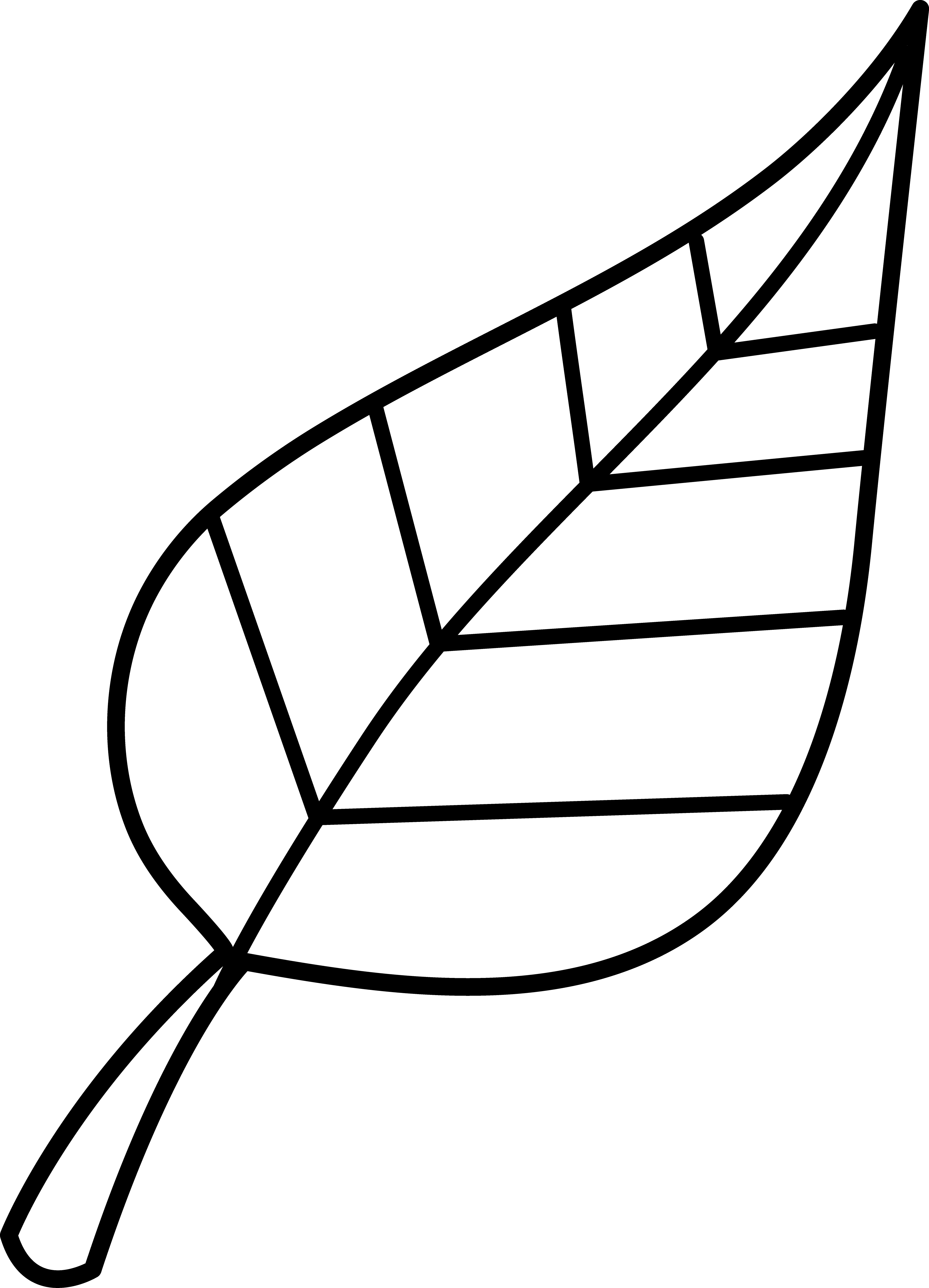Colorable Line Art of a Leaf - Free Clip Art