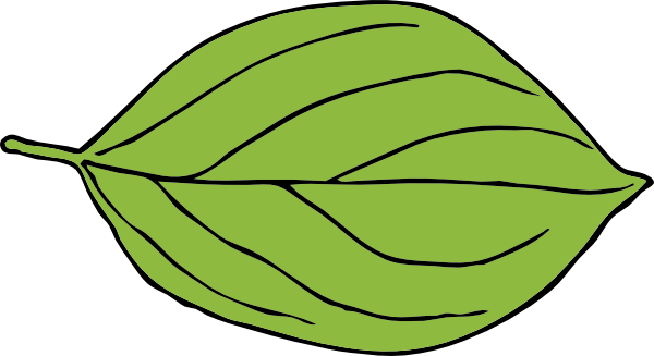 Oval Leaf clip art - vector clip art online, royalty free  public 