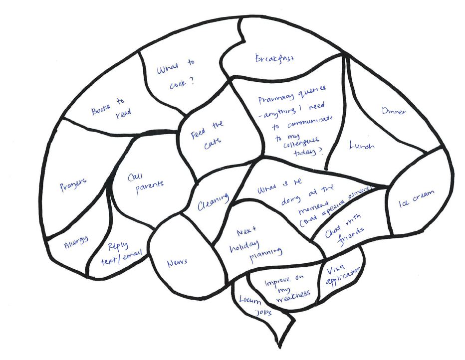 Human Brain Diagram Blank