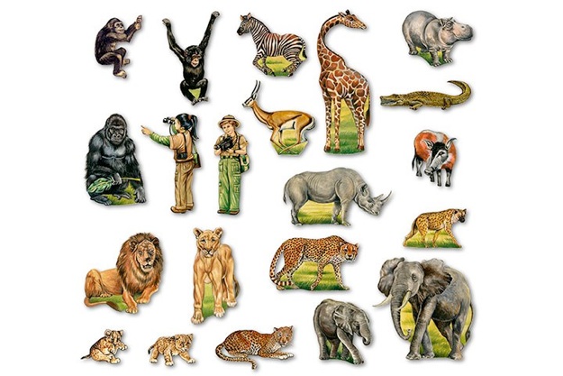 African Safari Animals