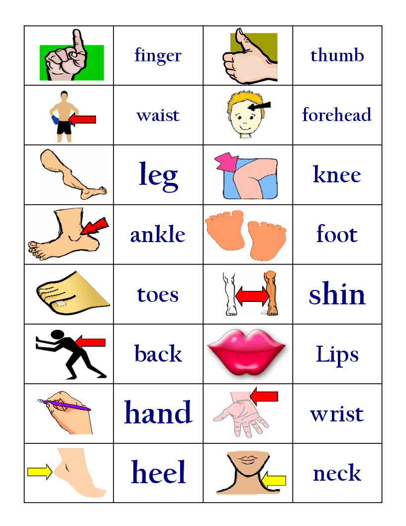 Parts of the Body Vocabulary Board Game Lesson Plan | Syllabuy.co