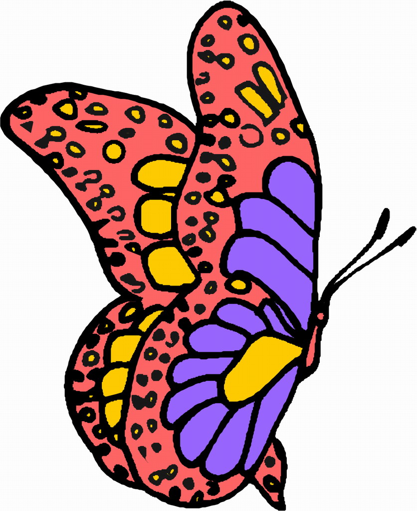 Cartoon Butterfly Pictures - Wallpaper HD Wide