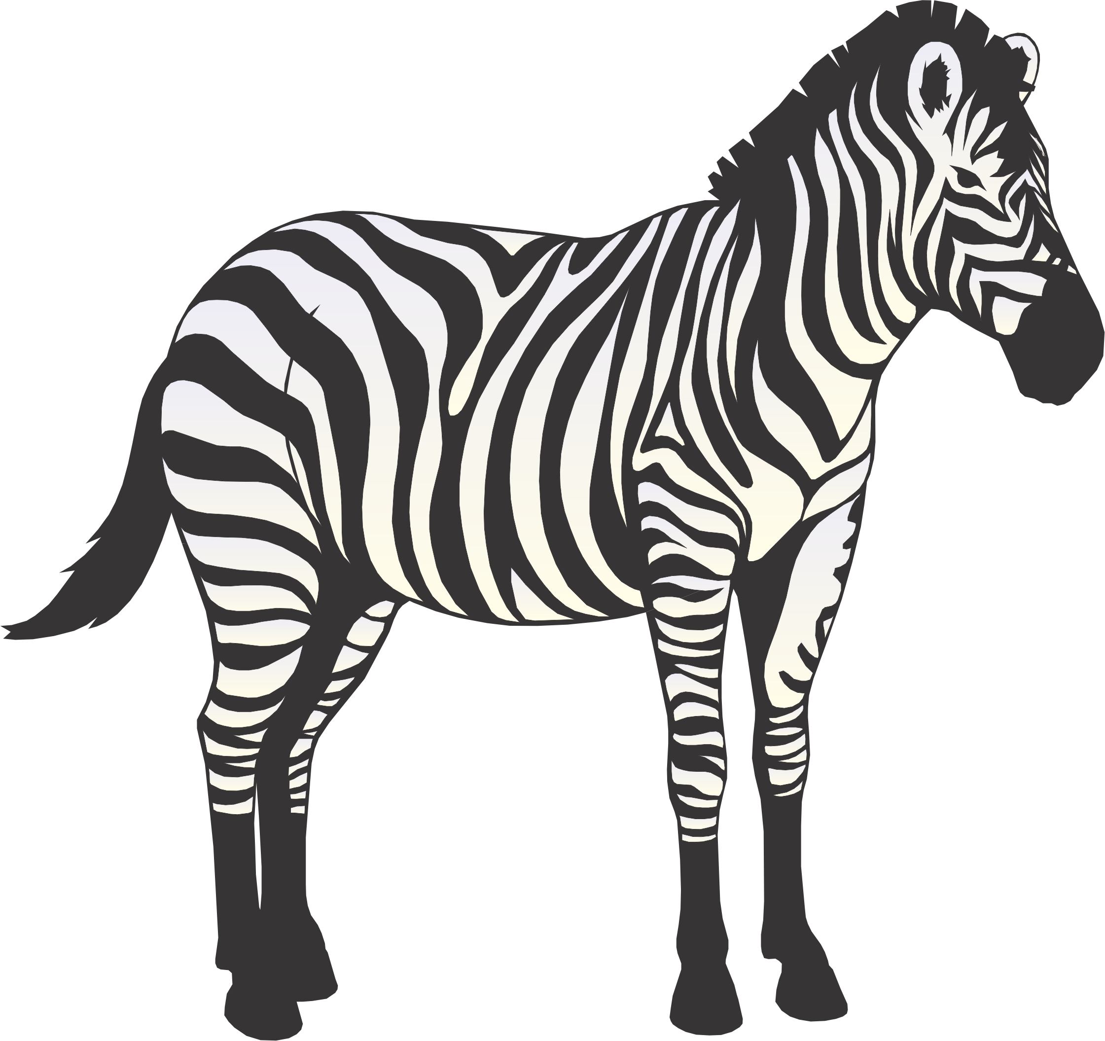 zebra drawings clip art - photo #24