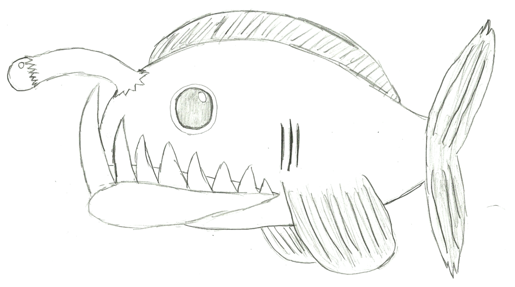 angle fish sketch cartoon - Clip Art Library