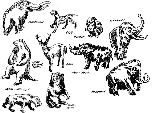 name of animals in ice age - Clip Art Library
