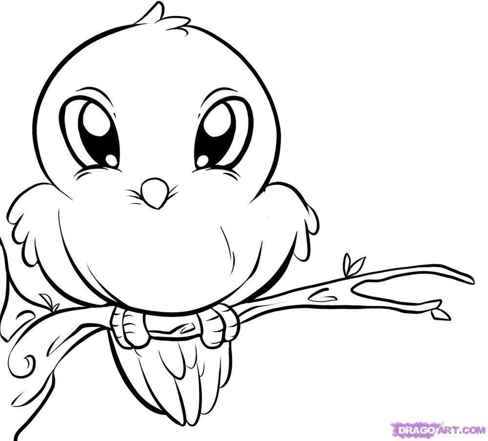 cute bird drawing easy - Clip Art Library