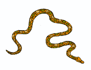 Snake Clipart For Chinese New Year 2013 | Clipart library - Free 