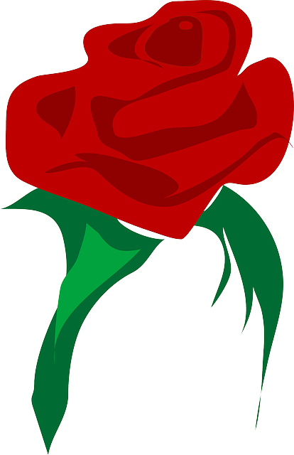 Free Red Rose Cartoon, Download Free Red Rose Cartoon png images, Free