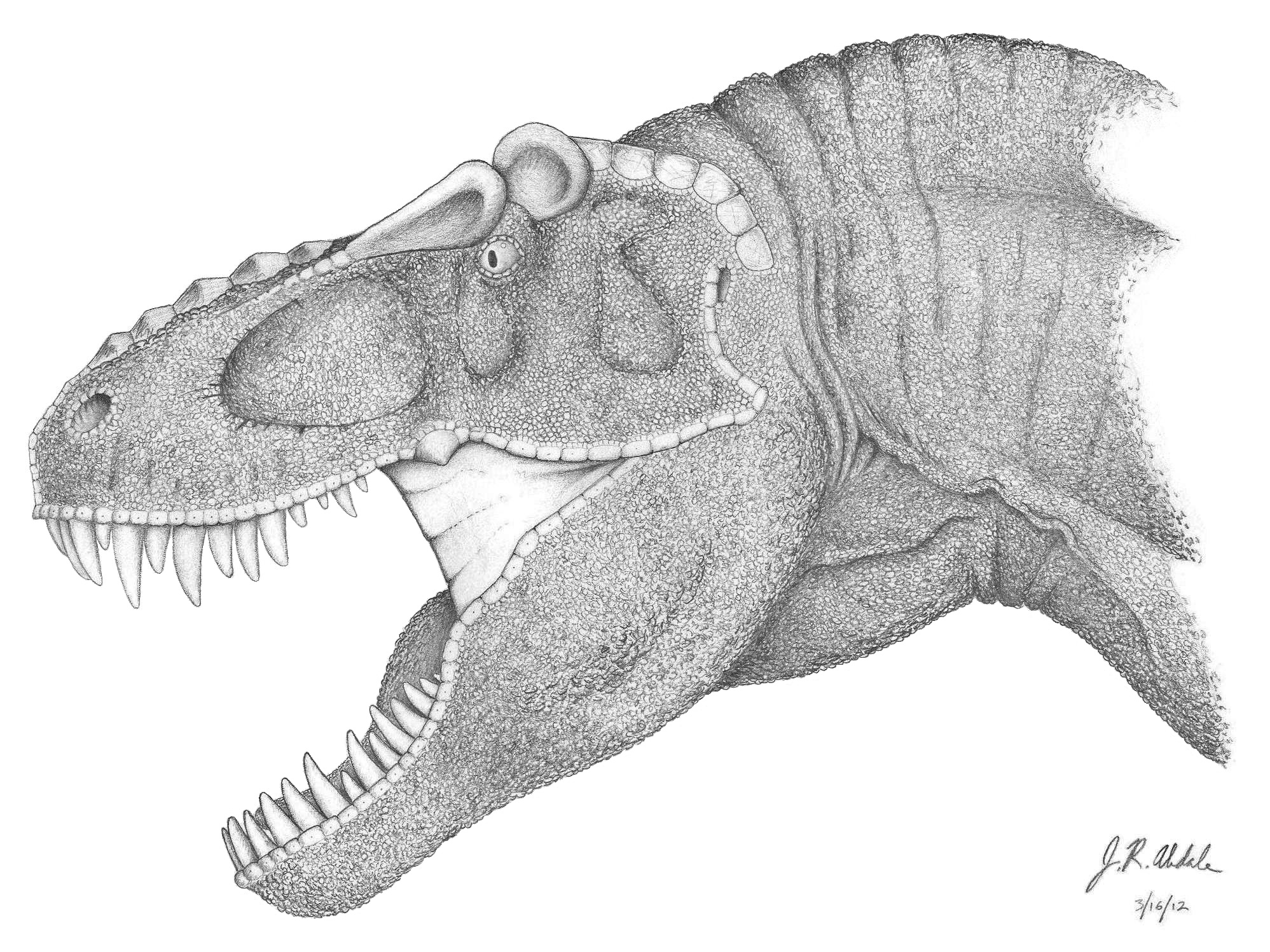 Free Dinosaur Drawing, Download Free Dinosaur Drawing png images, Free