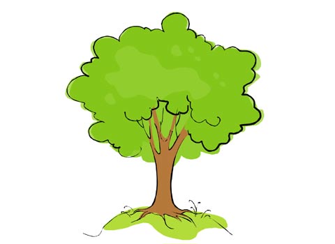 Cartoon Tree With Branches - Clipart library