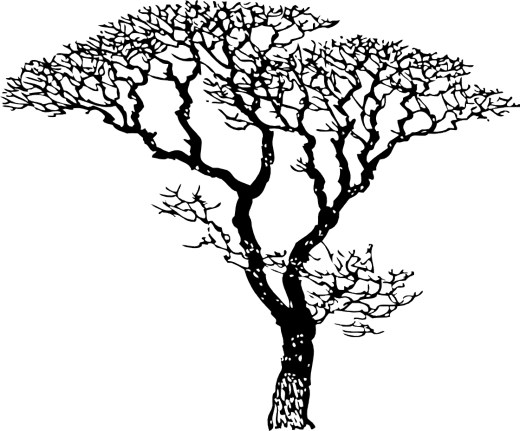Tree No Leaves - Clipart library