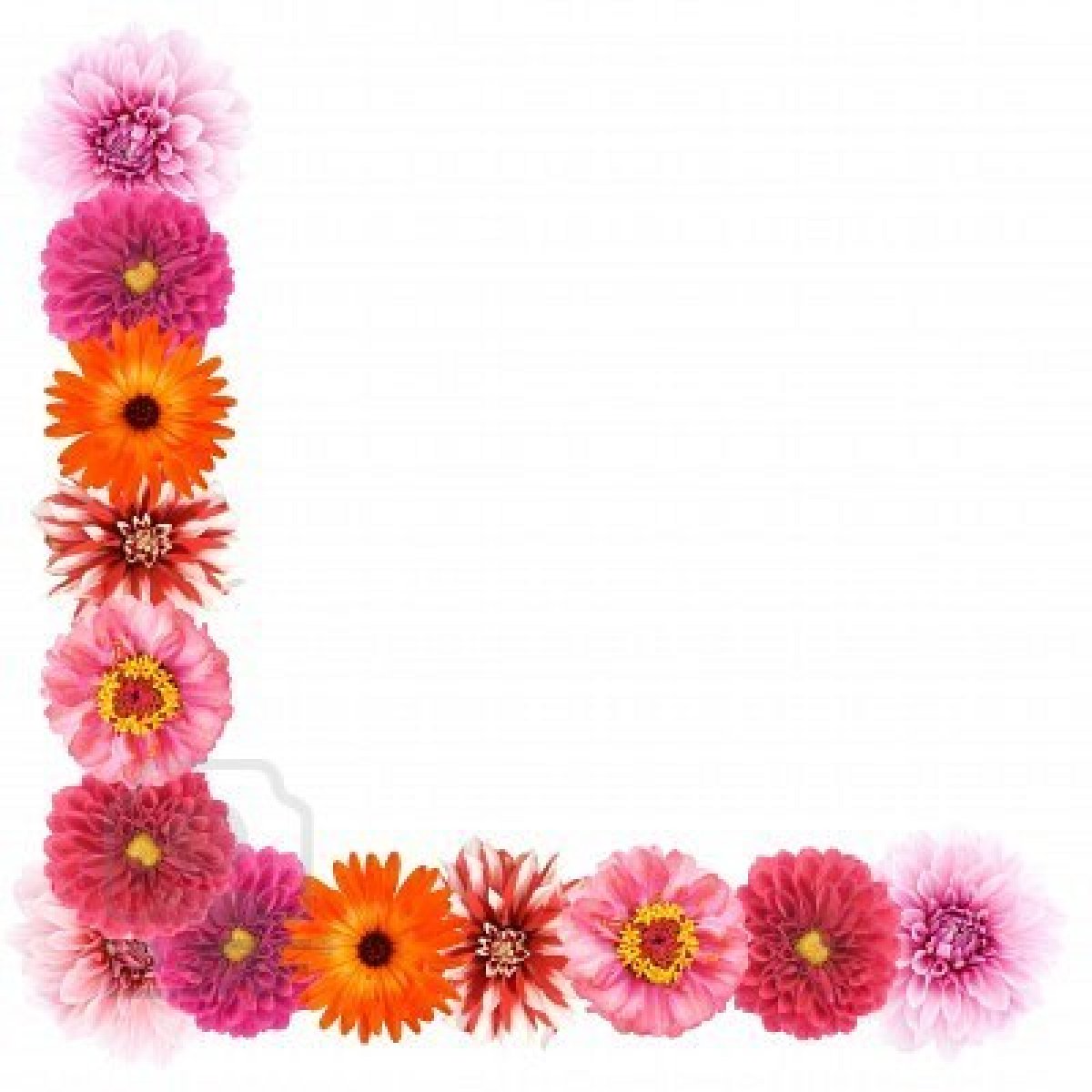Pink and Yellow Flowers Border Design HD - Border Designs