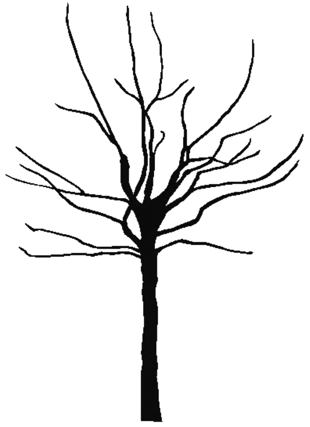 Free Tree Trunk Outline, Download Free Tree Trunk Outline png images