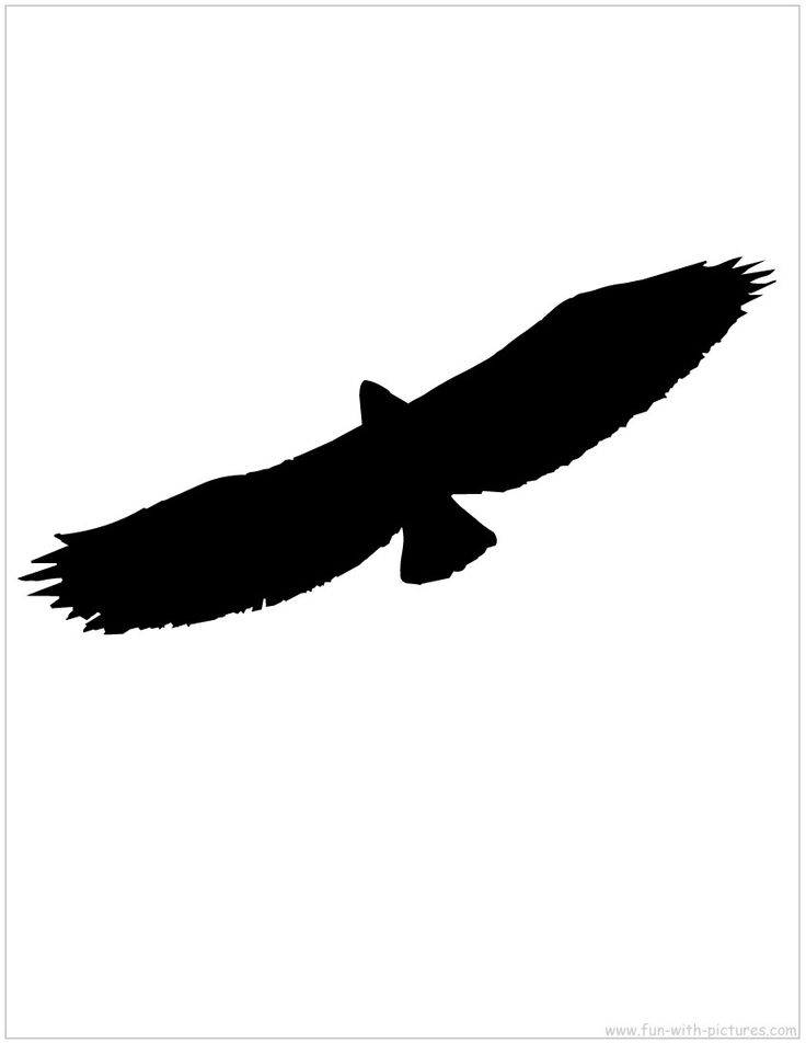 Flying Eagle Silhouette | Silhouette Cameo | Clipart library