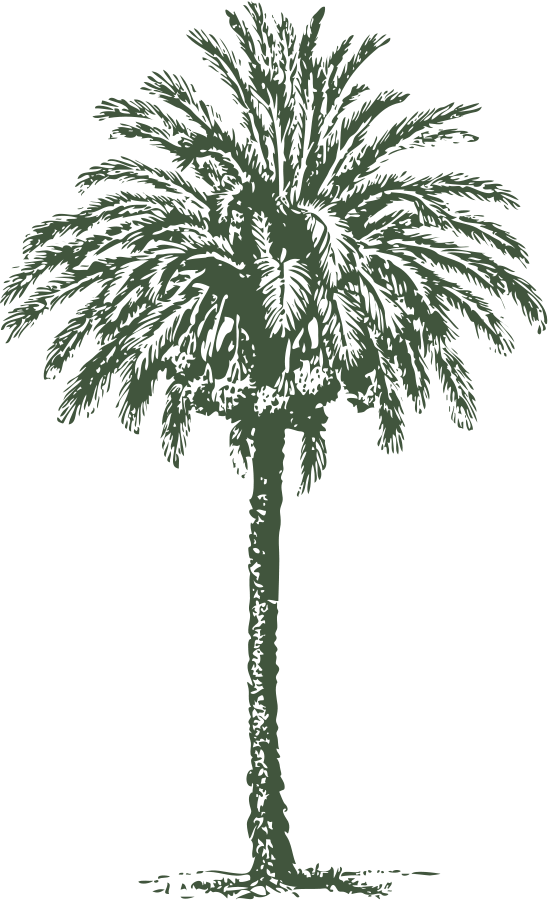 Date Tree Vector